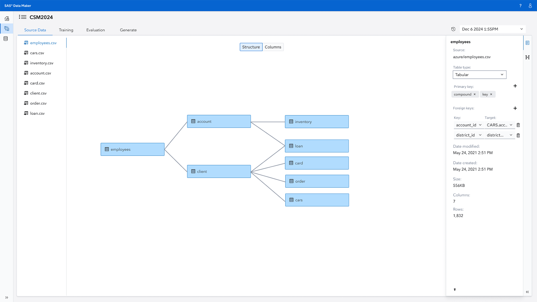 Screenshot of SAS Data Maker - data structure