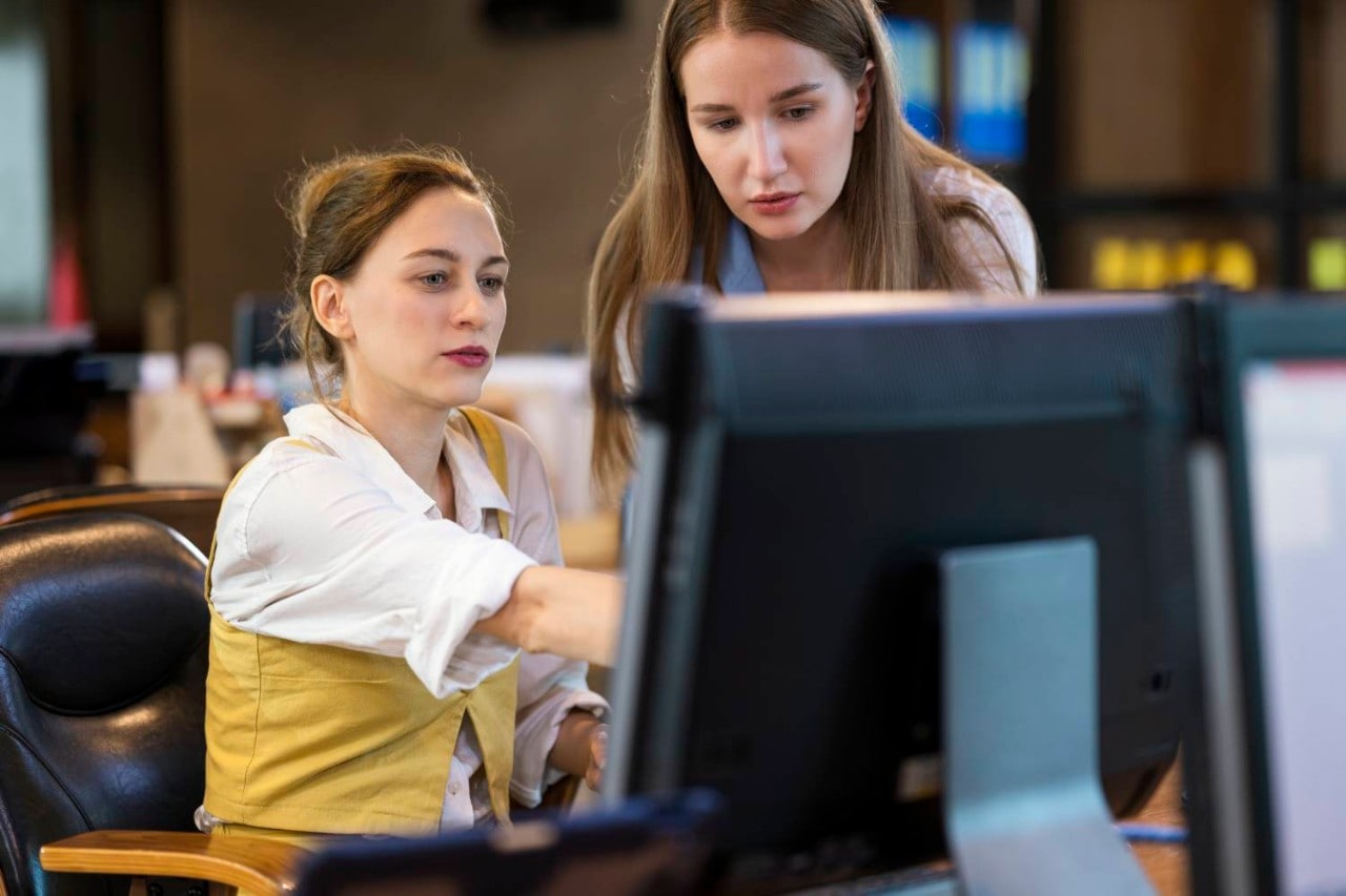 Two colleagues using computer